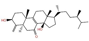 Conicasterol L